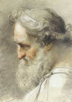 Gaetano Gandolfi, Study of bearded male head, 1797