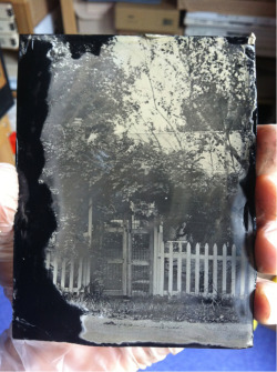 brookelabrie:  First day of my wetplate private tutoring. Here
