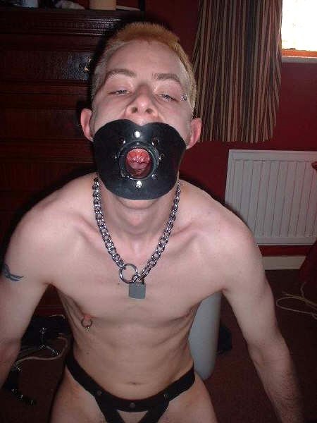 fromfagsforfags:   Â Homosigns followed and carried out #11Â Insert Cock Here  