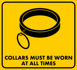 karl666:  Of course… collars reminds the slave his situation