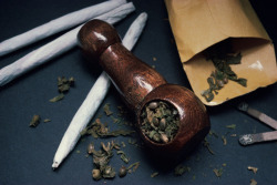 weedmygolden.tumblr.com/post/29341364066/