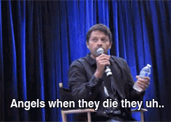 anneliese-michel:  thereisacrackintheuniverse:  winchestercodependency: