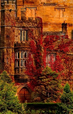 forever-october:  Hornby Castle (via Fall into Autumn / Hornby