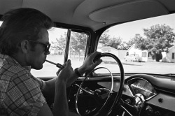  James Dean photographed by Richard C. Miller, 1955. 