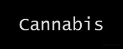 queimandotudo