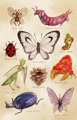 svalts:  Pokemon Bugs - by Christine Vu Poster Available here
