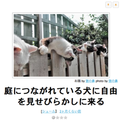 garance510:  【bokete】ボケての画像ください【おもしろ画像50枚】: