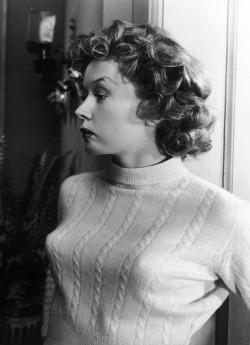 tierhund:  Gloria Grahame - bullet bra