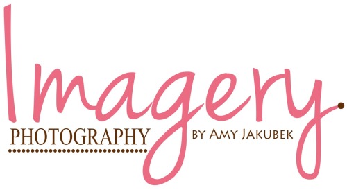 <p>Imagery is proud to present our new logo!</p>