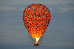 atavus: A hot air balloon Disney made inspired by the Pixar movie,