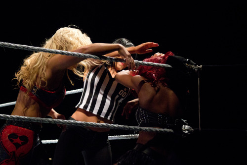 WWE Wrestler, Aksana.