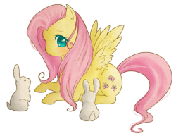 madame-fluttershy:  Fluttershy by Raidiance 