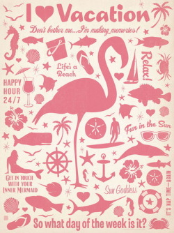 oldflorida:  Flamingo Friday!    “Don’t bother me,