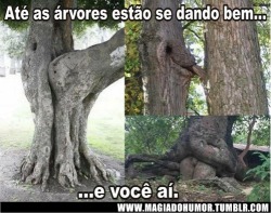 magiadohumor:  Até as árvores transando e você aí…