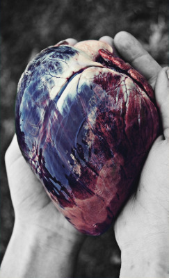 thedarkwillreign:  Heart 