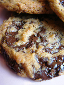 oohhhbaby:  chocolate chip cookie 