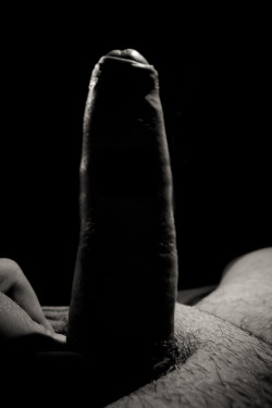nakediscaliente:  My dick has been hard all morning… I need
