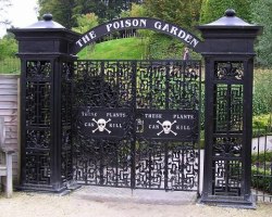 evilsoutherngentleman:  clarabolina:  The Alnwick Poison GardenAlnwick