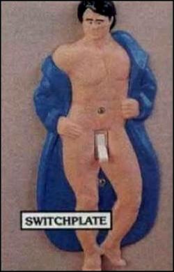 Just a light switch