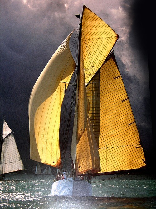 boatporn:  Who needs a parachute spinnaker when you have balloon jibs? themindscanvas:  Golden sails   Classic yachts.