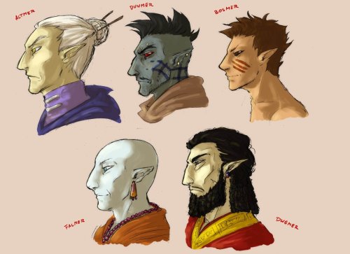 ankalime:  Elf races of Tamriel by ~ankalime Elves of Tamriel are the best, but I would be happy if Bethesda didnâ€™t change some elements of their designs through their games. And let us see more of their culture etc. I mean, the most interesting buildin