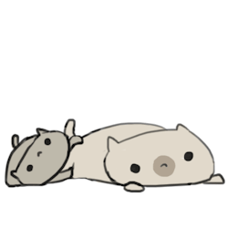 sheepyichigo:  cassjaytuck:  so. many. derp. cats.  the fat one