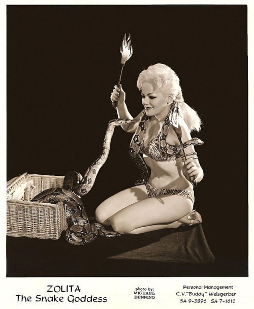 Zolita    aka. “The Snake Goddess”.. An obvious Zorita wannabe, trying a little too hard.. To be fair, this is a 60’s-period promo photo. And by then, Zorita had already retired from performing; spending all of her time managing her