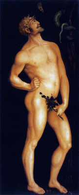 Hans Baldung Grien, Adam, c1525