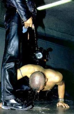 the-alley:  Iconic image for me 