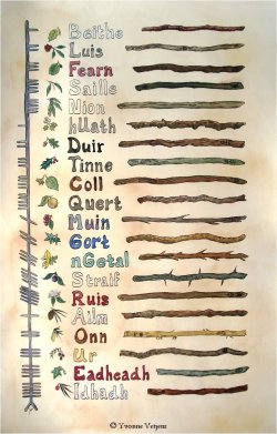 illumia-art:  An overview of the Ogham alphabet. Watercolors