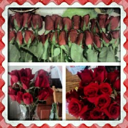 24 beautiful long stem red roses from my future husband :) #youjelly