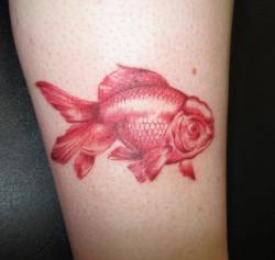 fuckyeahtattoos:  Fresh tattoo of my goldfish, Minerva. Designed