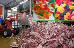 keep-my-mind-busy:  Have you ever wondered from what are gummy