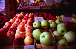 7heartbreaks:  the apple harvest {9/365(2)} by <aviary>
