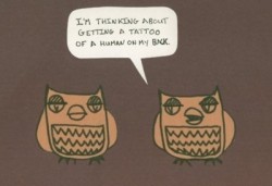 i think im the only one whos not all about owls