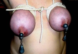 justnippleclamps:   Amateur Bondage Nipple Clamps and Tit Torture: