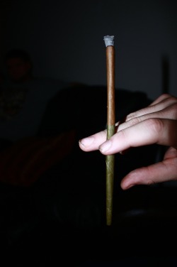 hitbongs-livelong:  vanilla and pineapple blunts 