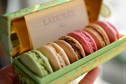 Macarons Laduree in a pretty box?  Oui Monsieur! I love to please