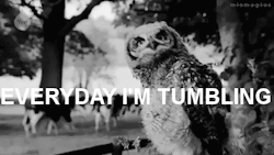 masalperisimiyimne:  yeaaaahhhh