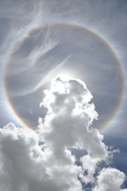 kenobi-wan-obi:  22° Ice Halo Light passing through the hexagonal