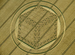 etanswers:  Another new crop circle has popped up in Wiltshire.