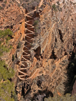 visitheworld:  Walter’s Wiggles trail in Zion National Park,