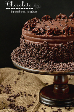 gastrogirl:  dark chocolate frosted yellow cake with raspberry