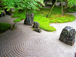 ziararose:  I was in a zen garden in Japan and didn’t quite