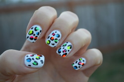 astralsplendors:   Neon cheetah print!  