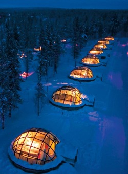 skate-high:  renting a glass igloo in Finland to sleep under