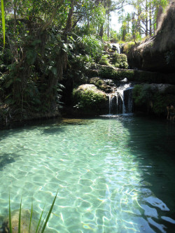 opticoverload:  Natural Swimming Pool, Isalo National Park, Madagascar