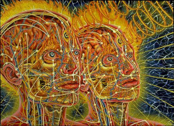 trappedhalfcultureinc:  Alex Grey