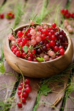 followthewestwind:  Red currants | Flickr - Photo Sharing! on