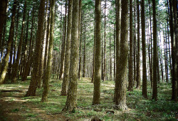 passare:  untitled by Patrick Kuhre on Flickr. 